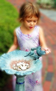 Birdbathblurredsfw