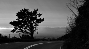 eerie_bendinroad