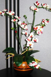 flowervasesfw