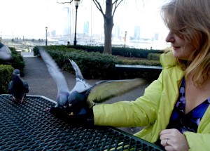 pigeonwhisperersfw