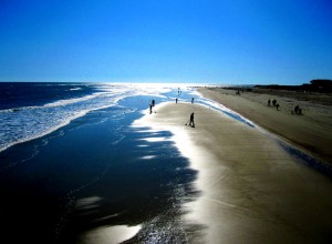tybeebeachsfw