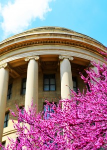 DC Building with Tree