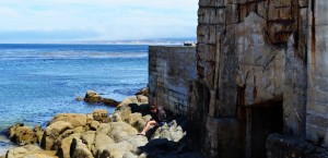 Monterey Wall