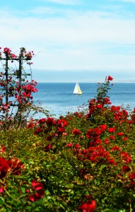 Small boat with flowers